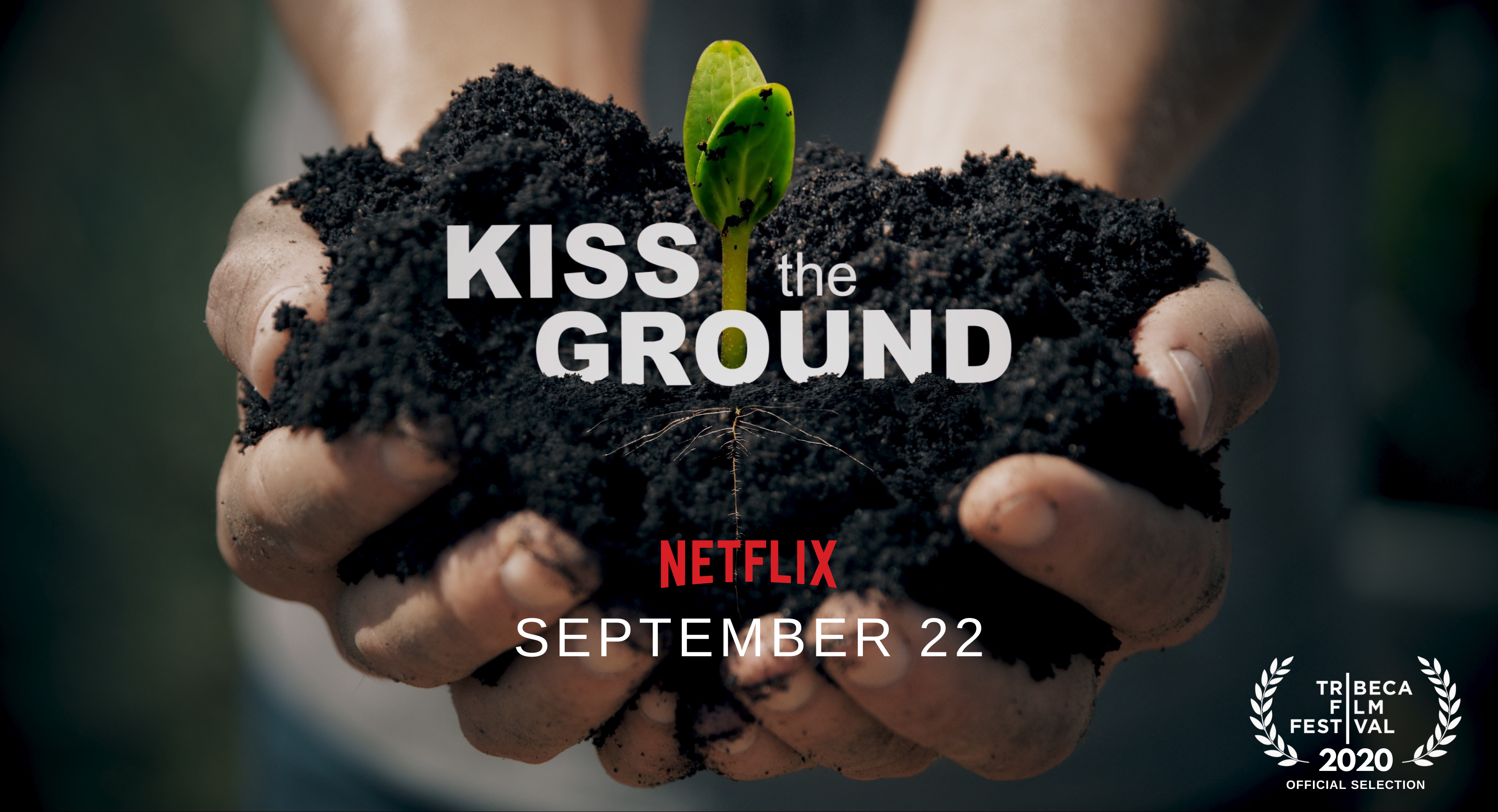 movie poster for kiss the ground