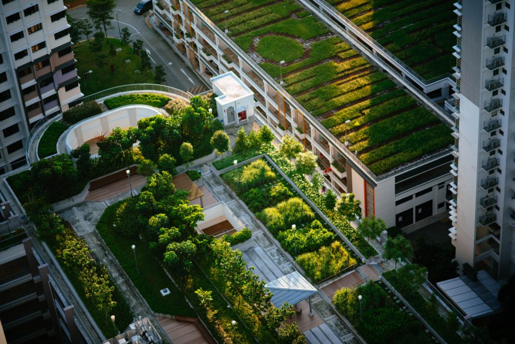 a building rooftop covered in greenery