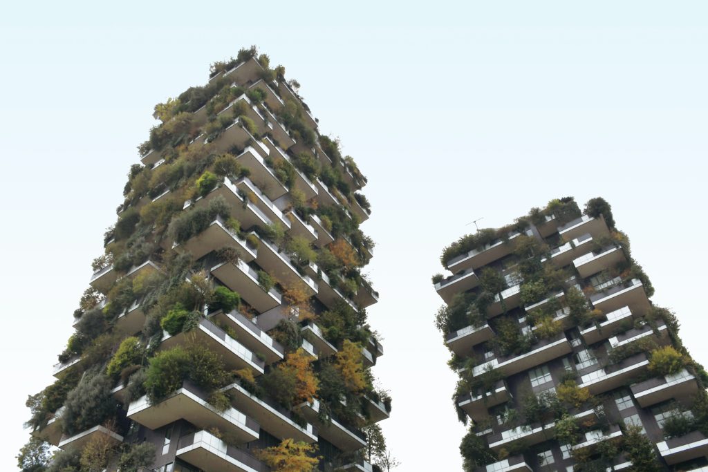 image of tall city buildings covered in greenery