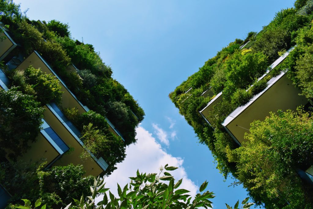 image of tall city buildings covered in greenery