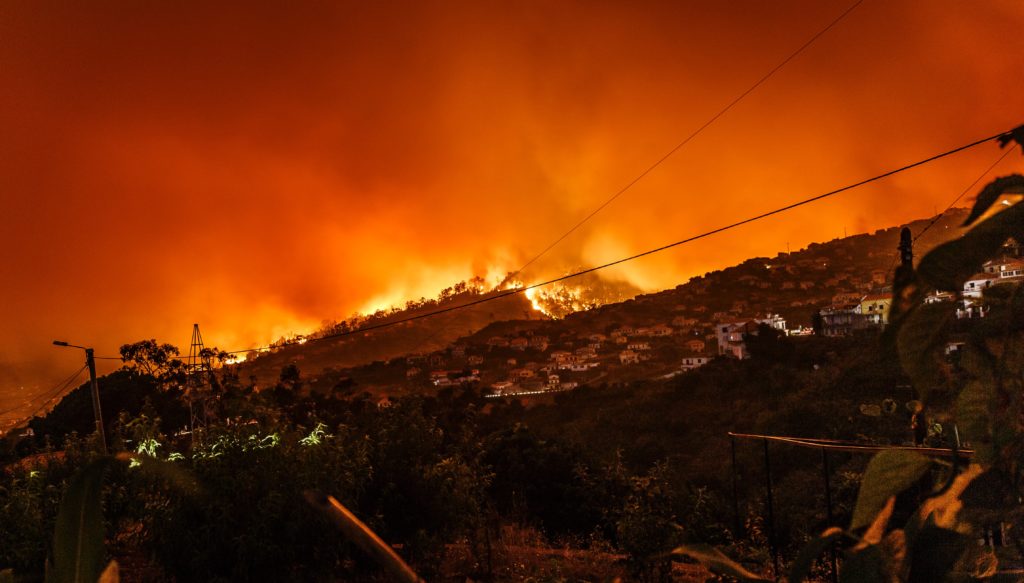 a hill set ablaze by a wildfire