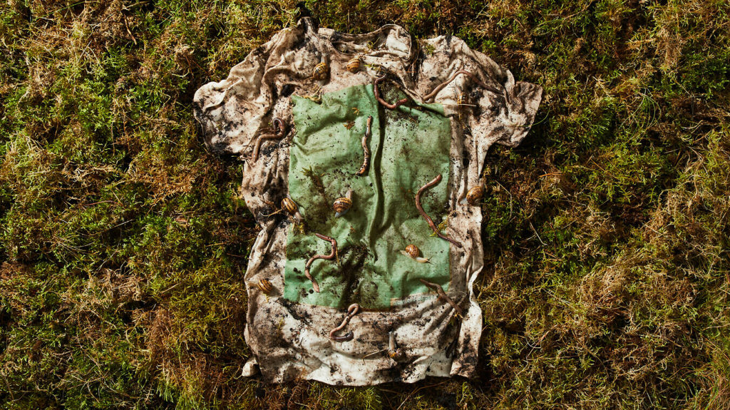 biodegradable shirt made of algae